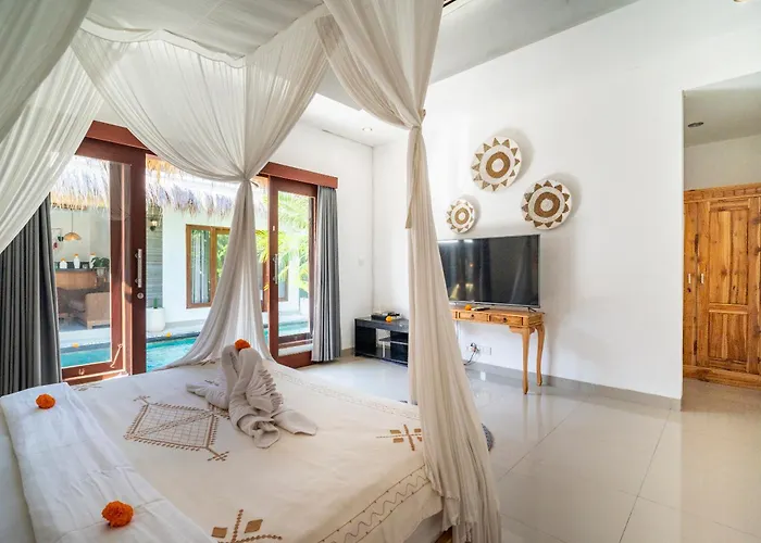 Bella Wilson